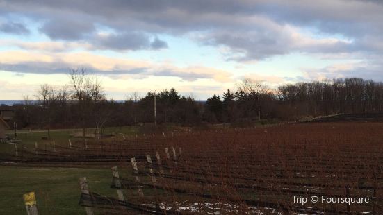 Thirty Bench Wine Makers Travel Guidebook Must Visit Attractions