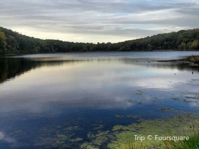 Top Things To Do In Cottage Grove Hot Tourist Attractions Trip Com