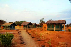 安博塞利国家公园游记图片] 小天独家，东非安博塞利国家公园