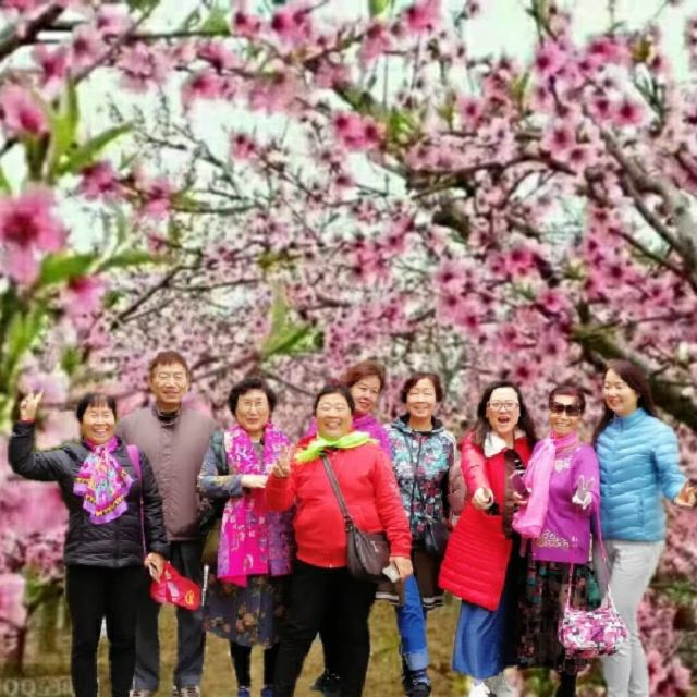 下廊村桃花溪风景区旅行图片 1
