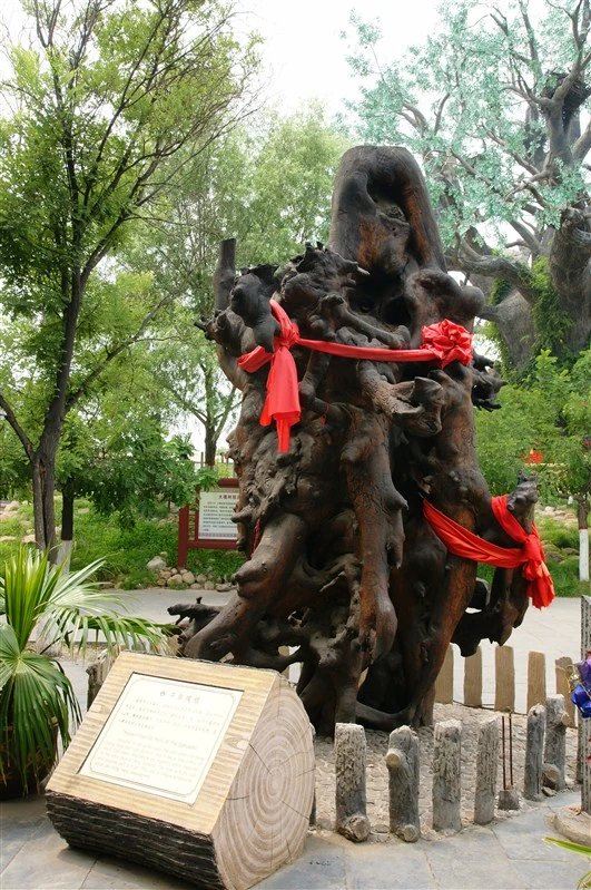 洪洞大槐樹尋根祭祖園