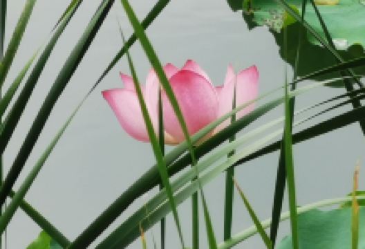 苏州板壁峰农家乐美食图片