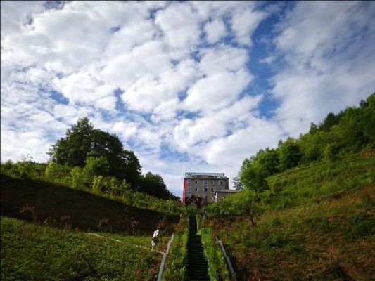 逃离西安桑拿天，去22度的广元曾家山布谷布谷，凉爽到不想回家