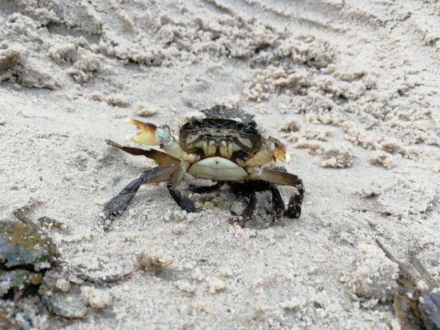 壇南灣海濱浴場