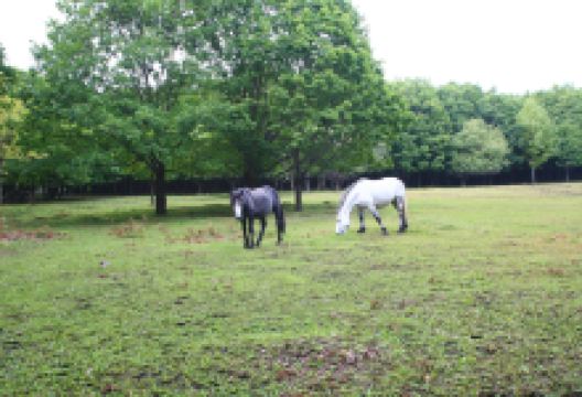 四方山景点图片