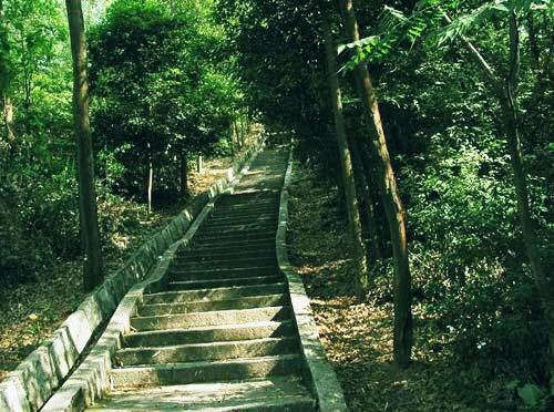 東莞黃旗山城市公園攻略,東莞黃旗山城市公園門票/遊玩攻略/地址/圖片