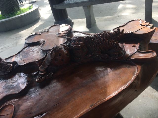 琴台小森林旅行图片 8