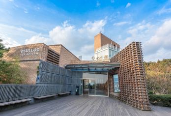 绿茶博物馆+山茶花之丘+涯月海岸道路+凯蒂猫一日游【包车】【当地中文司机，在地生活，感受当地人的模式 美食攻略，旅途聚会，吃吃喝喝畅游当地】