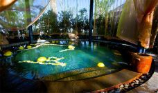 溱湖国家湿地公园-泰州-242278435