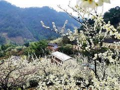 千岛湖游记图片] 在千岛湖阡陌间，终于做成了20岁的时候，到80岁还会笑的事