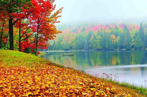 威斯康星州游记图文-说好赏枫 || 全球首发，小心被五大湖的秋色美哭了