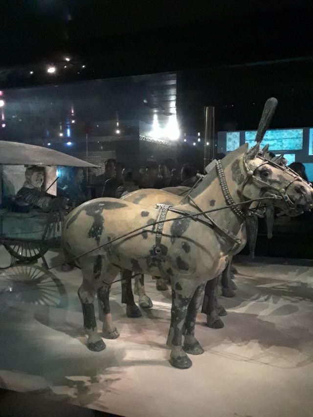 Emperor Qinshihuang's Mausoleum Site Museum