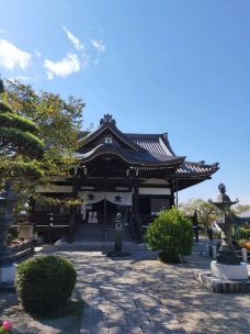 Oka Temple-明日香村-翱翔的大鲨鱼