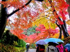 中尊寺-平泉町-在路上的Jorick