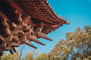 春日物语|疫情过后细品草长莺飞、平遥古城漫步二日游