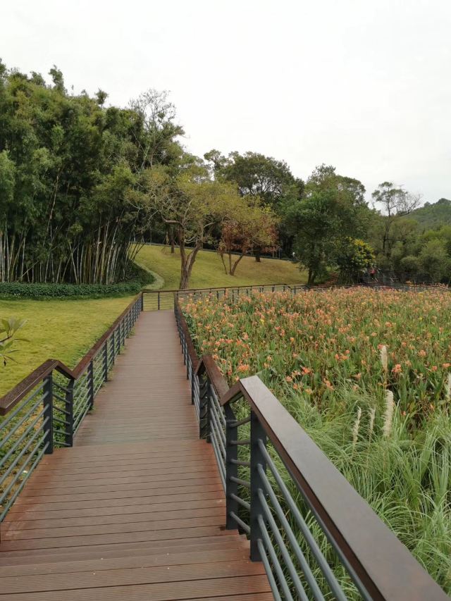 金钟水库旅行图片 1