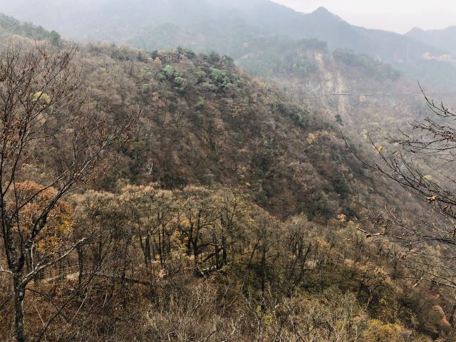 马鬃岭景区旅行图片 3