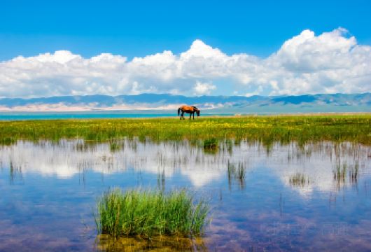 【赏蓝冰●舒适巴士团】拉脊山+日月山+青海湖一日游【1，达人带队，精选线路，深度体验，创新玩法，贴心管家，摄影帮手，路上美景随走随停！】