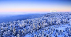 西峡游记图片] 寺山国家森林公园雪景迷人