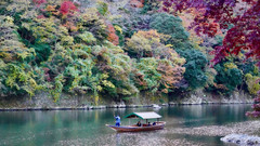 日本游记图片] 2019的日本关东关西红叶季正当时 - 终于赶上刚刚好的时候了