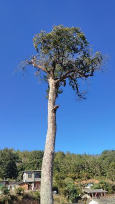 连城县培田古村落-连城-YoYo_2Z0S0L0W