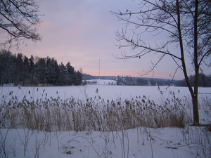 哈尔尤县游记图文-深入探索爱沙尼亚（Estonia) 的小国魅力中下篇--雪白冬日的景