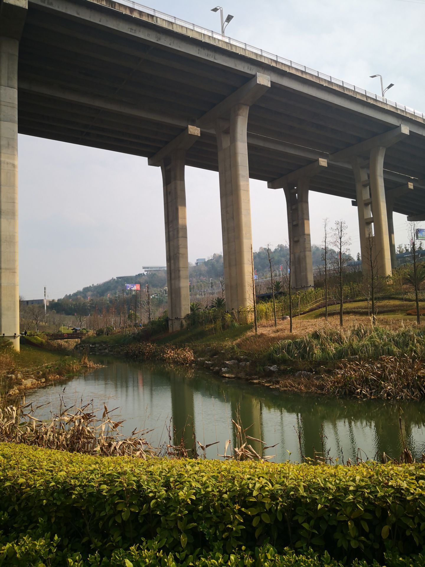 双龙中央生态公园