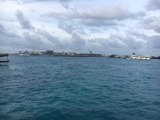 马尔代夫阿玛瑞岛，畅寻椰林树影、水清沙白