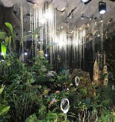 云雾林-新加坡-超级ctt