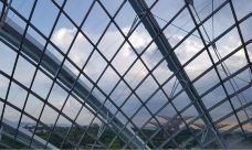 云雾林-新加坡-超级ctt