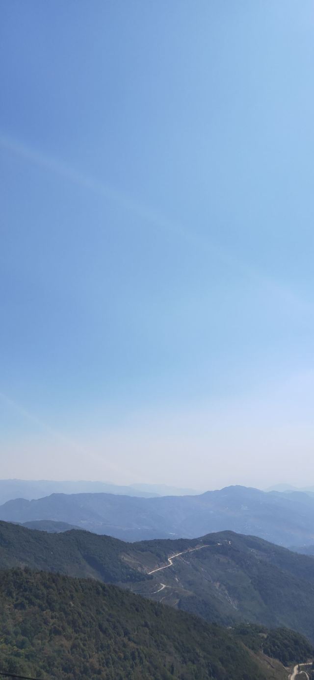 哀牢山国家级自然保护区旅行图片 2