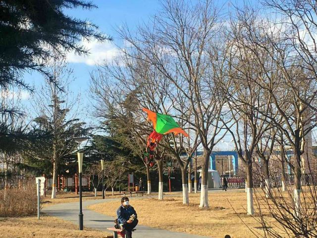 丽都花园旅行图片 1