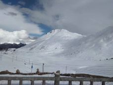 色季拉山-林芝-老鹰在飞翔