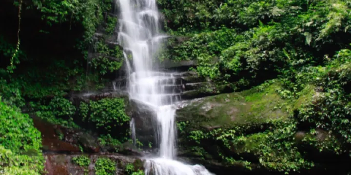中國侏羅紀公園