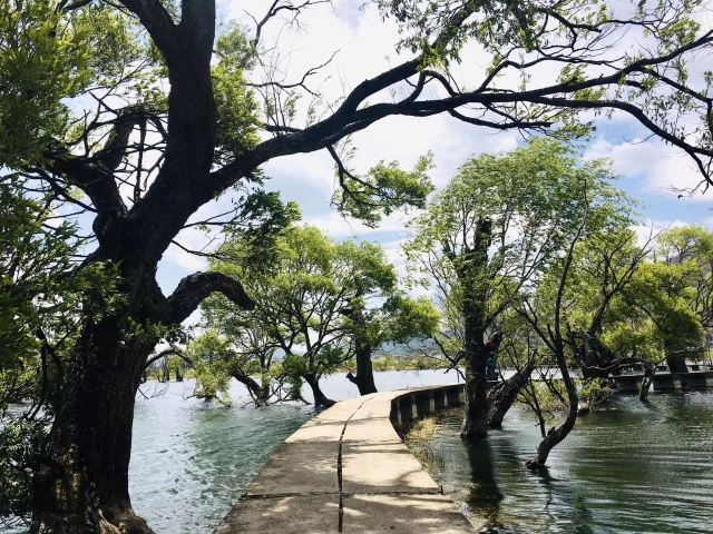 黄龙潭公园旅行图片 4