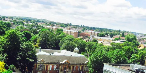 Dartford Borough Museum