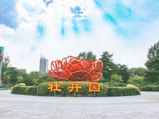 牡丹园