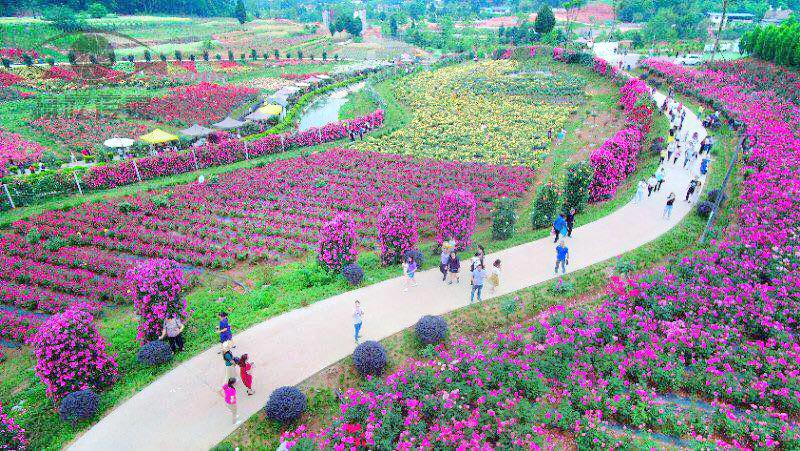 花田锦地·溪月谷