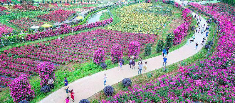 德阳2020年5月gdp_张含韵德阳事件照片