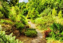 穆鲁普纳旅游图片-澳大利亚墨尔本马其顿山秋季赏枫一日游