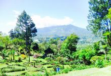 El Explorador Gardens景点图片