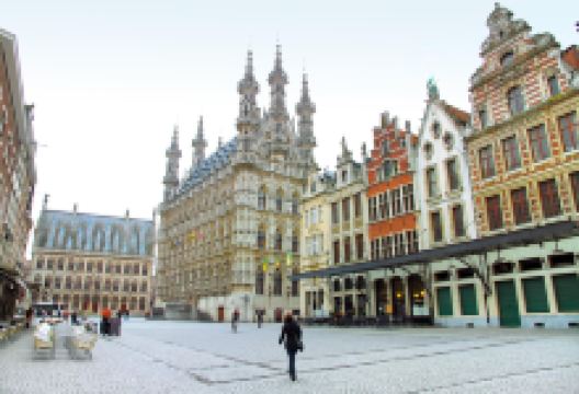 鲁汶市政厅景点图片