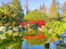 日本友谊庭园-圣何塞-doris圈圈