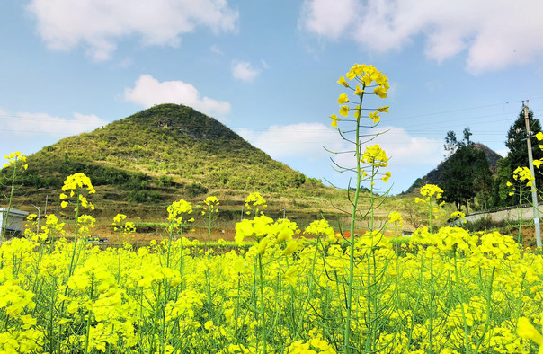 貴州龍里大草原景區(qū)