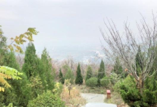 箭括岭景点图片