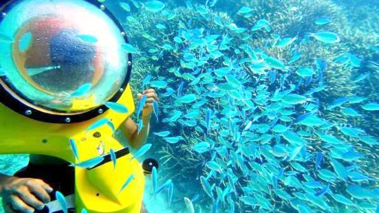 Get Travel Guidebook Must Visit Attractions In Saipan Nearby Recommendation Trip Com For Free Get Wallpaper Travel Guidebook Must Visit Attractions In Saipan Nearby Recommendation Trip Com Desktop Wallpaper Free