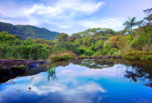 辛哈拉加森林保护区景点图片