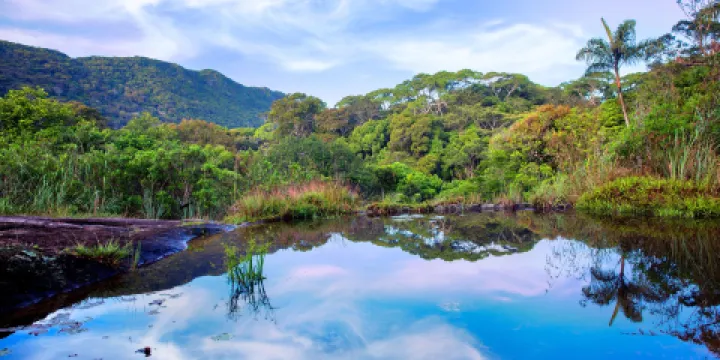 辛哈拉加森林保護區