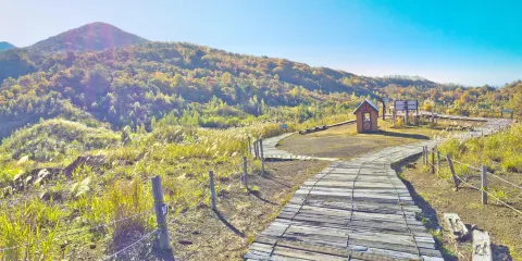 西山火口散步道