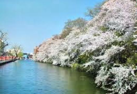 高冈古城公园景点图片